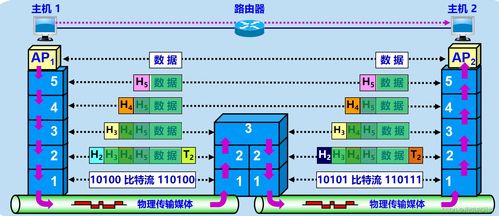 計算機網(wǎng)絡設計成果轉(zhuǎn)讓 法律保護與商業(yè)實踐